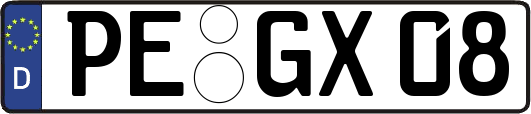 PE-GX08