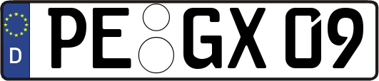 PE-GX09