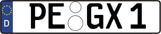 PE-GX1