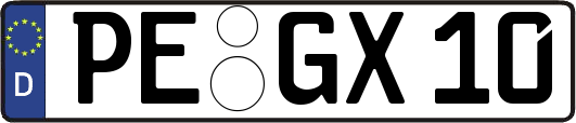 PE-GX10