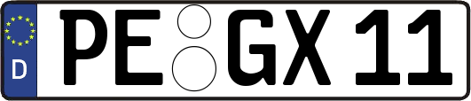 PE-GX11