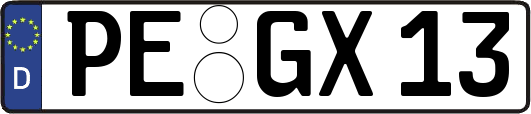 PE-GX13