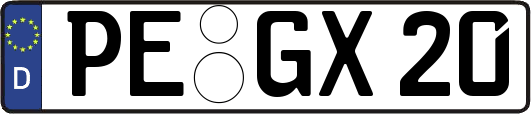 PE-GX20