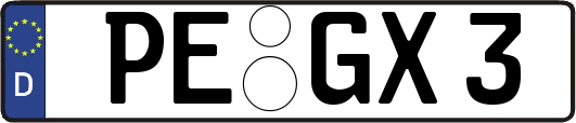 PE-GX3