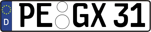 PE-GX31
