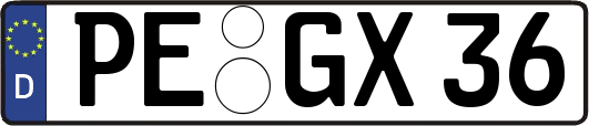 PE-GX36