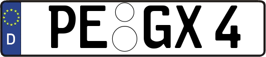 PE-GX4