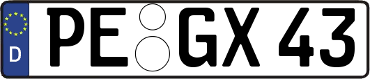 PE-GX43