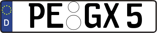 PE-GX5