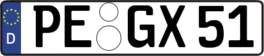 PE-GX51