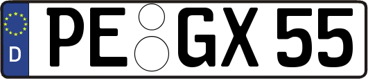 PE-GX55