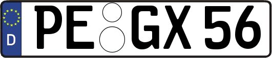 PE-GX56