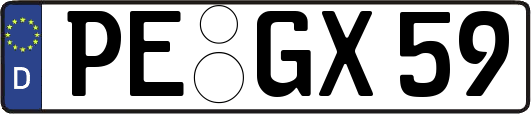 PE-GX59