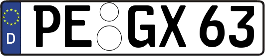 PE-GX63