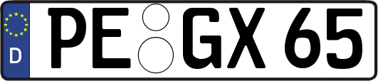 PE-GX65