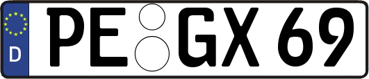 PE-GX69