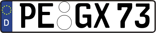 PE-GX73