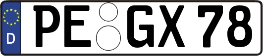 PE-GX78