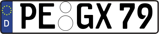 PE-GX79