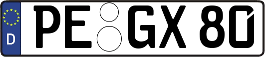 PE-GX80