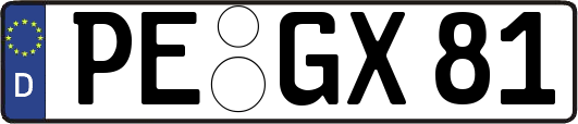 PE-GX81