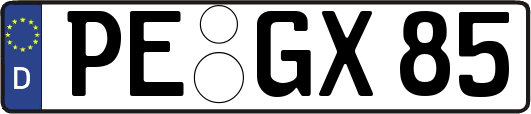PE-GX85