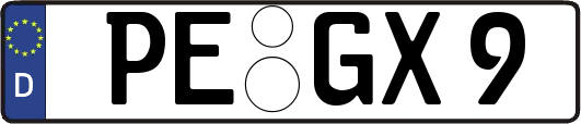 PE-GX9