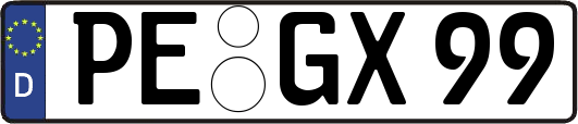 PE-GX99