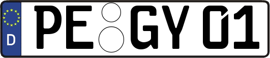 PE-GY01
