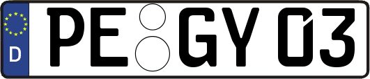 PE-GY03
