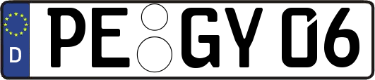 PE-GY06