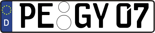 PE-GY07