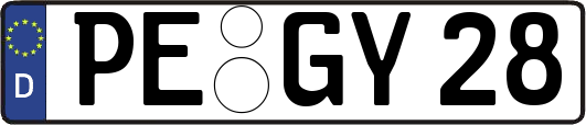 PE-GY28