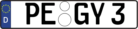 PE-GY3