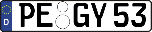 PE-GY53
