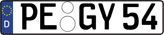 PE-GY54