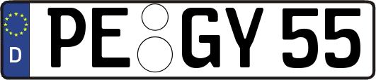 PE-GY55