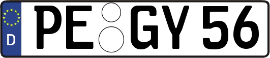PE-GY56
