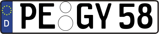 PE-GY58