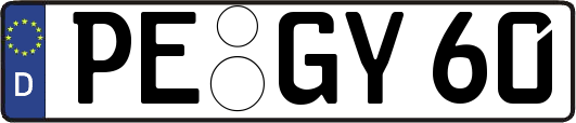 PE-GY60