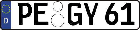 PE-GY61