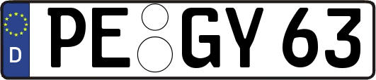 PE-GY63