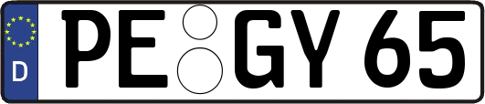 PE-GY65