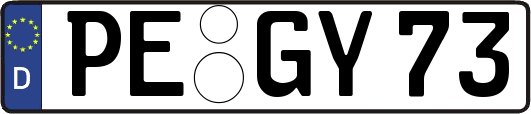 PE-GY73