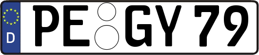 PE-GY79