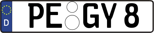 PE-GY8