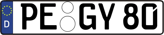 PE-GY80