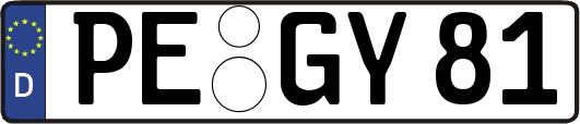 PE-GY81