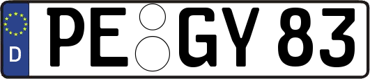 PE-GY83