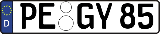 PE-GY85